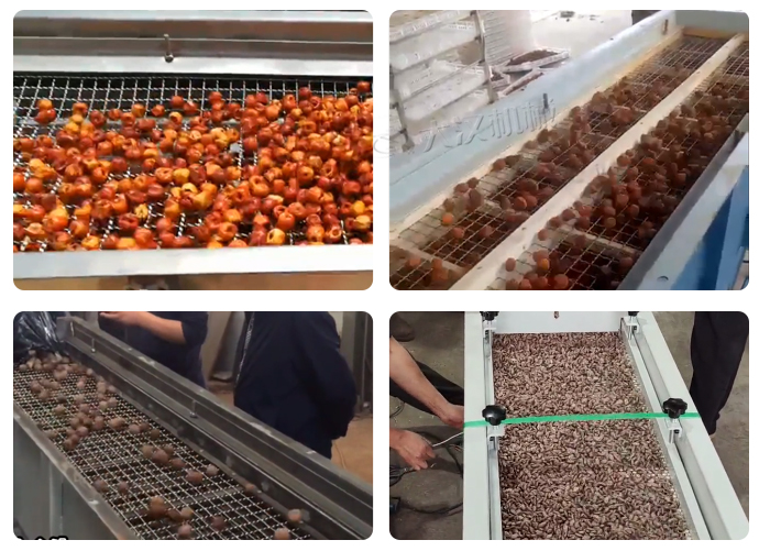 幹果除雜直線振動篩展示