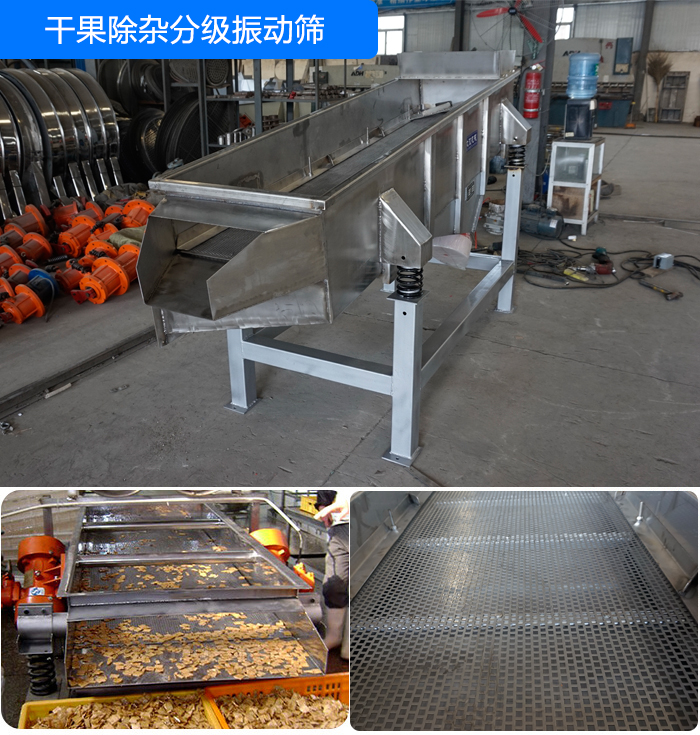 幹果除雜分級直線振動篩